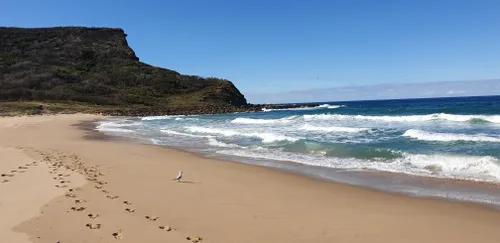 royal national park bike trails