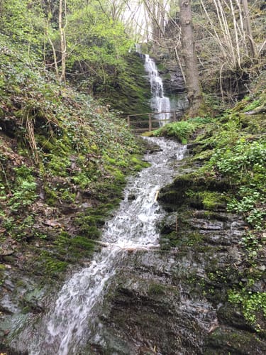 Klotten: Dortebachtal - Kaderbachtal