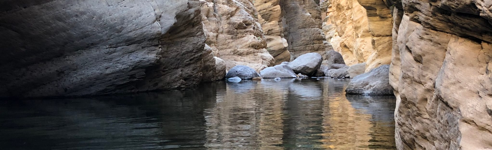 White Box and Hanging Gardens, Arizona 43 Reviews, Map AllTrails