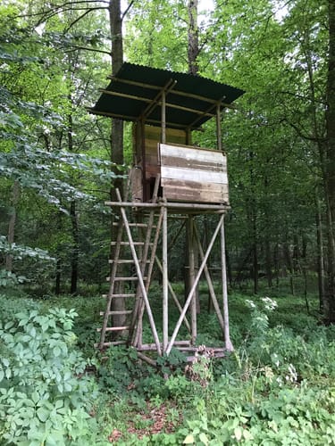 Durch den Erlenbacher Forstwald