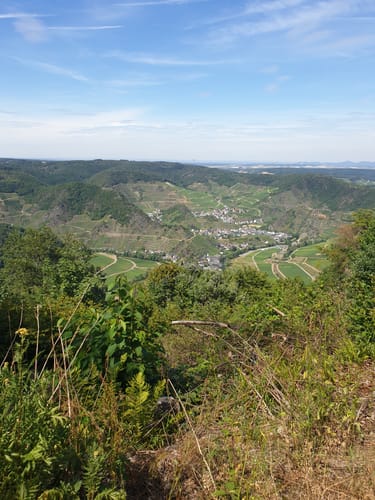 Mayschoß Rundweg 3