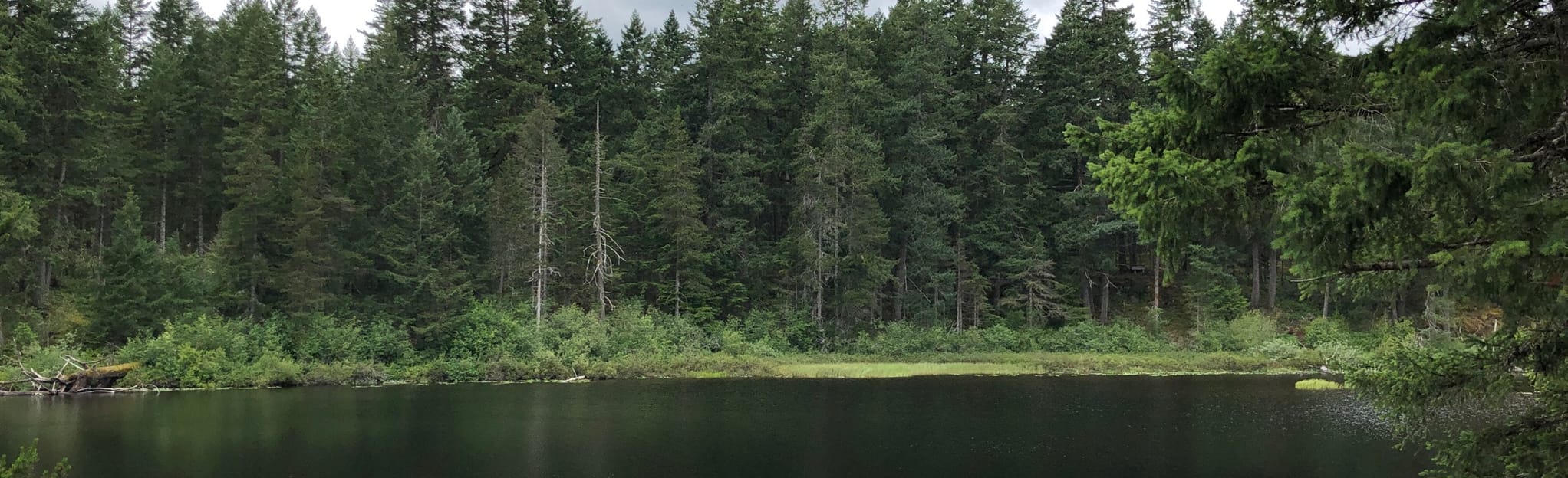 Spectacle Lake Loop, British Columbia, Canada 246 Reviews, Map