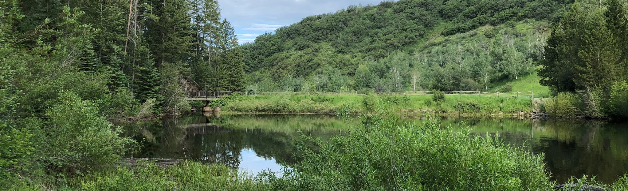 Spring Creek Pond 563 Reviews, Map Colorado AllTrails