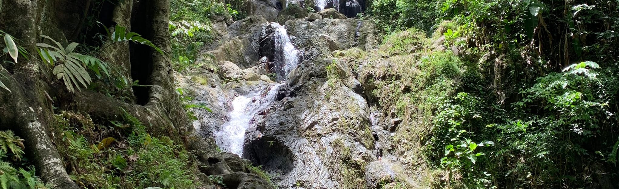 Argyle Waterfall and Nature Park, Eastern Tobago, Trinidad and Tobago