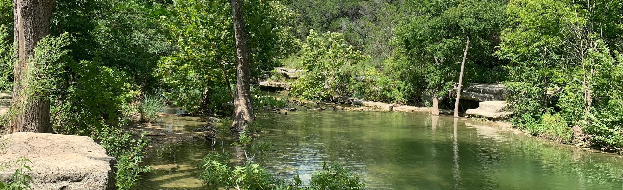 Bull Creek South to North: 965 foto's - Texas AllTrails