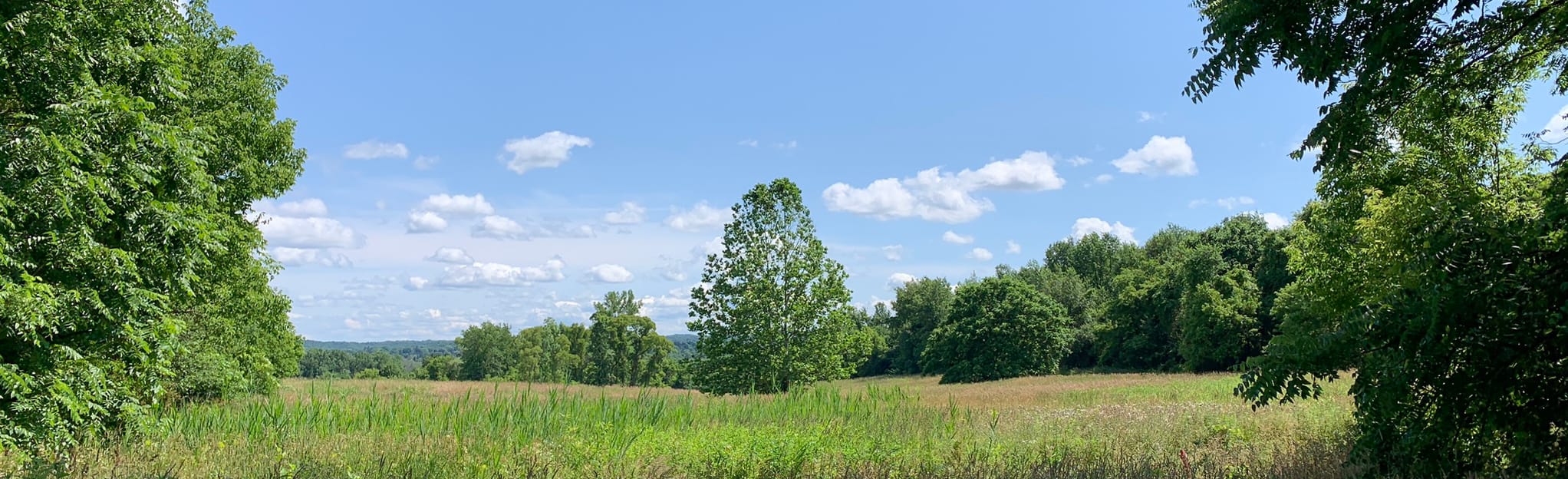 Camillus Unique Area Trail 6, 5, 4, and 3 Loop 88 Reviews, Map New