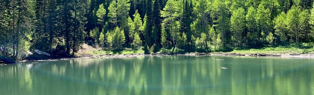 are bikes allowed on dog lake trail millcreek canyon