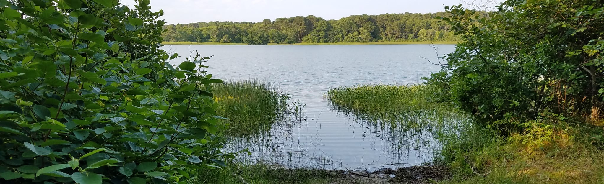 Gull, Higgins, and Herring Pond Loop, Massachusetts 19 Reviews, Map