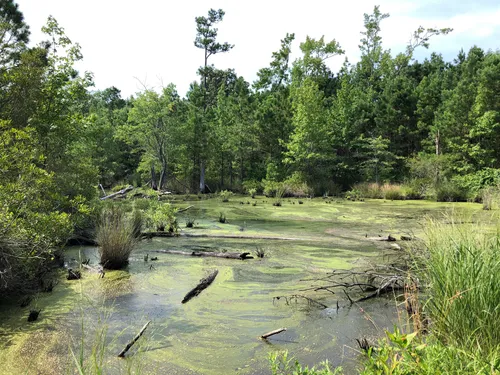 Blackwater (company) visual data 3