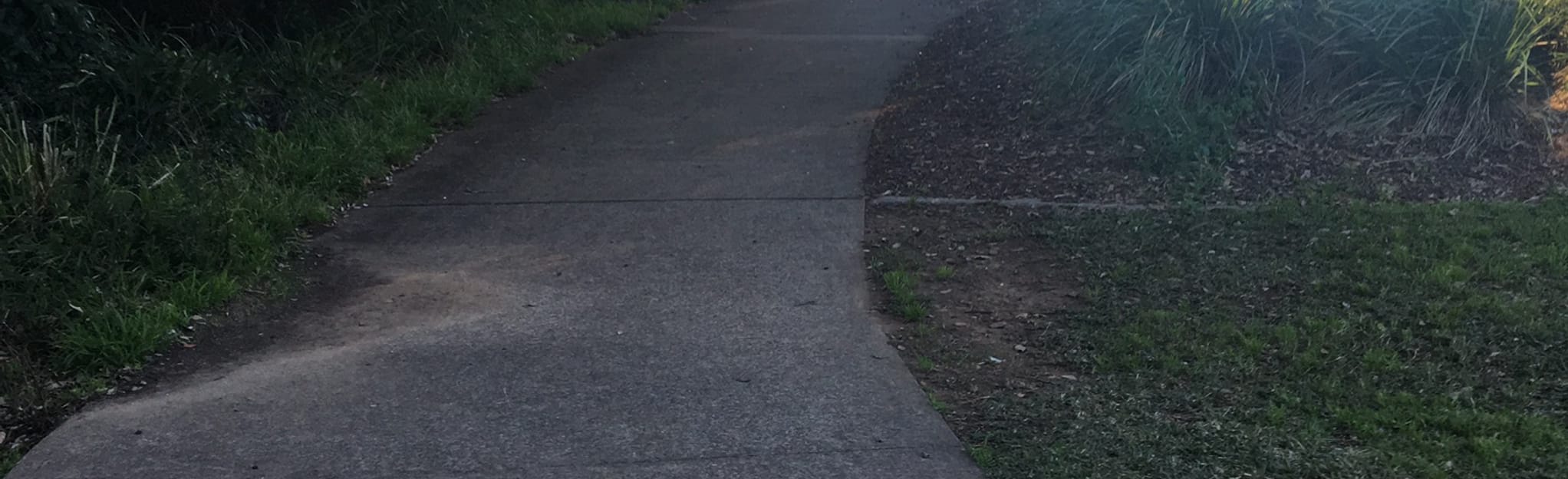 Toongabbie Creek Walk, New South Wales, Australia 15 Reviews, Map AllTrails