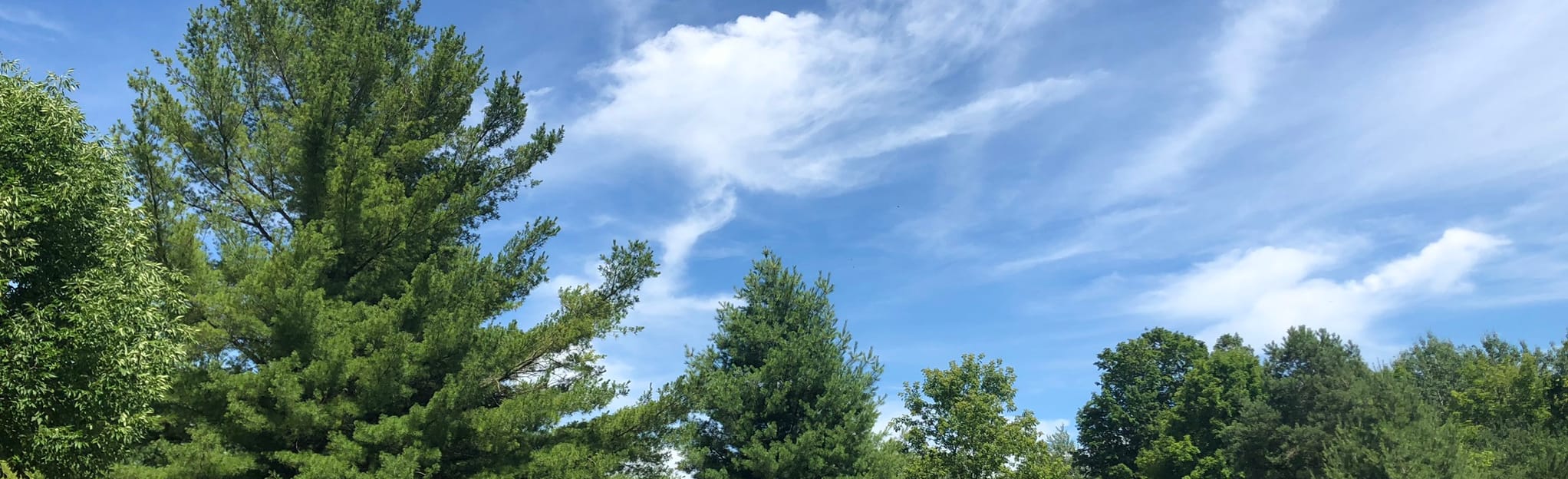 Cedar Valley Conservation Area 137 Reviews, Map Ontario, Canada