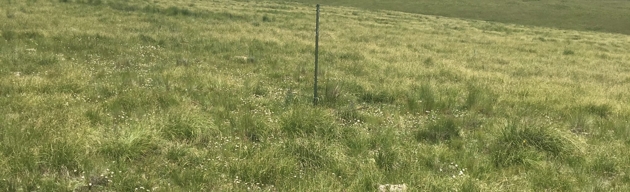 Comanche Creek to La Belle, New Mexico 5 Reviews, Map AllTrails