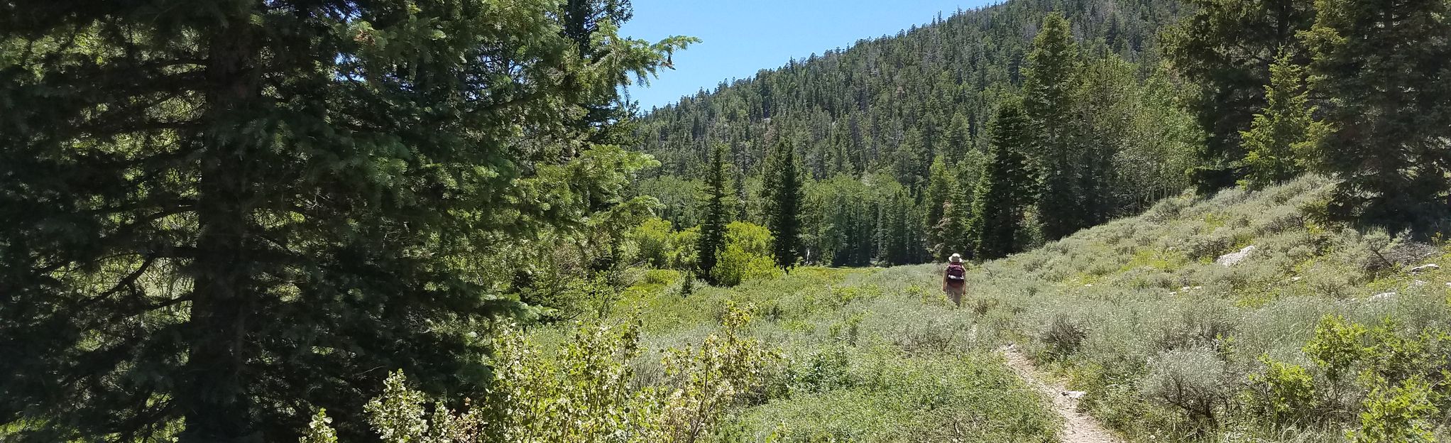 Escape to Baker Creek: Your Great Basin National Park Adventure Awaits!