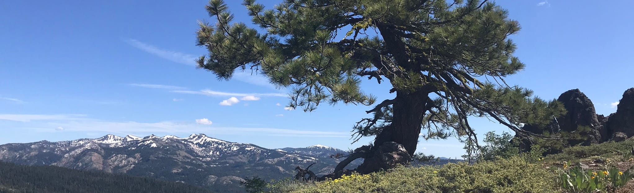 Rowton Peak via Reindeer, Claim Jumper, and Razorback Trails 57