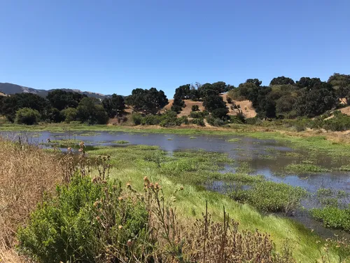 10 Best Hikes and Trails in Fort Ord National Monument  AllTrails