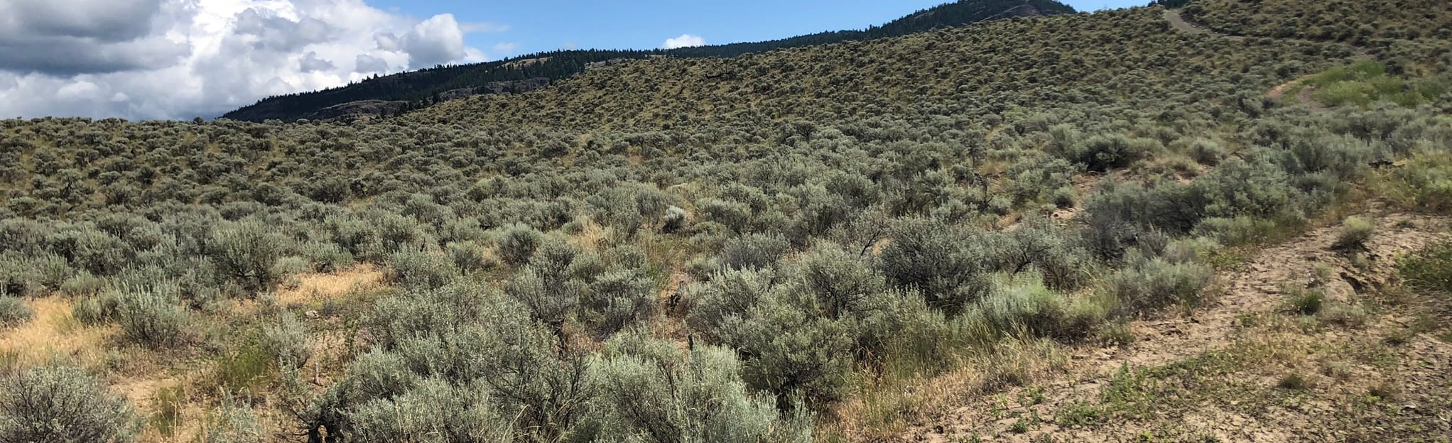 The Guardsmen 21 Reviews, Map British Columbia, Canada AllTrails