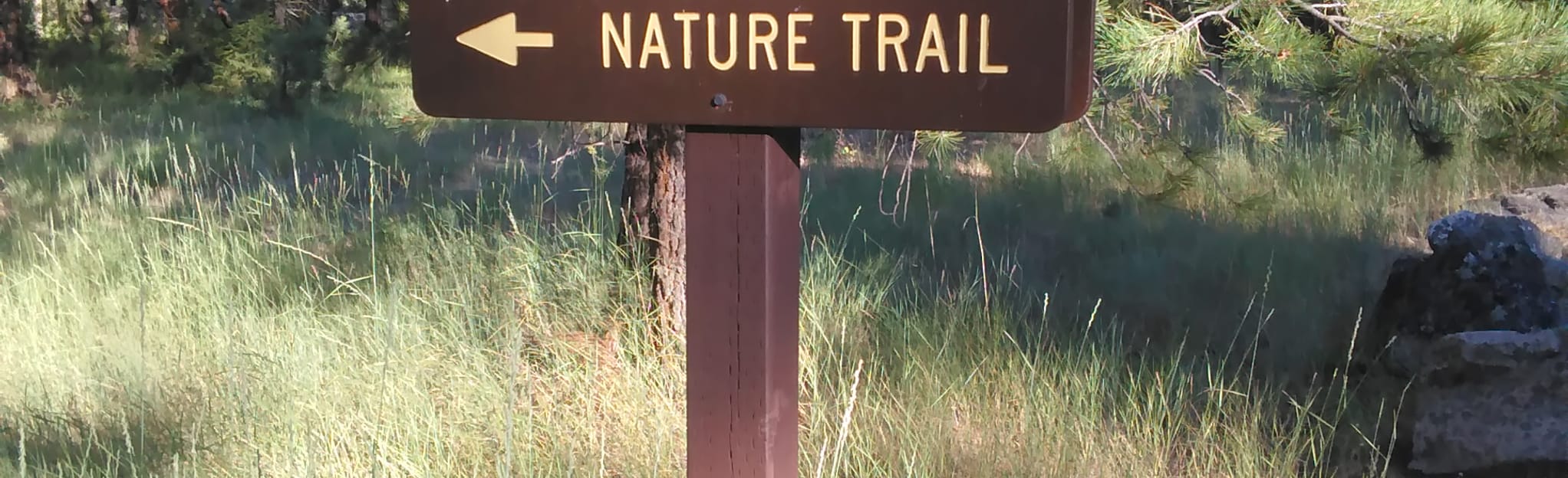 Baumgartner Hot Springs, Idaho 8 Reviews, Map AllTrails