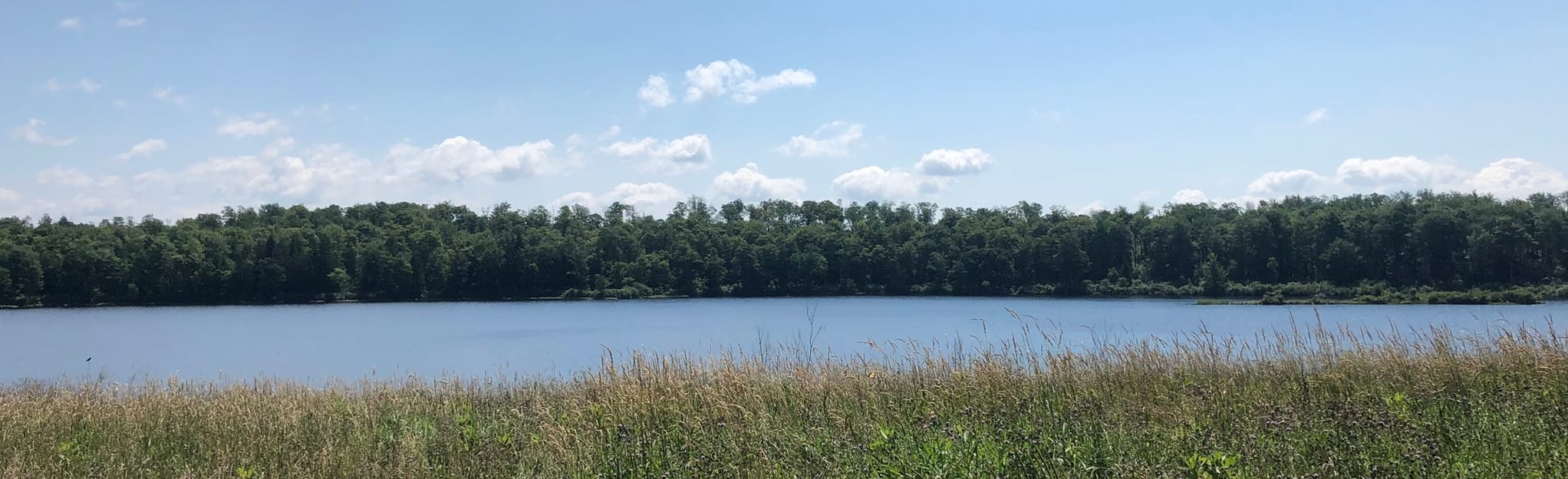 Brady's Lake Big Loop Map, Guide Pennsylvania AllTrails