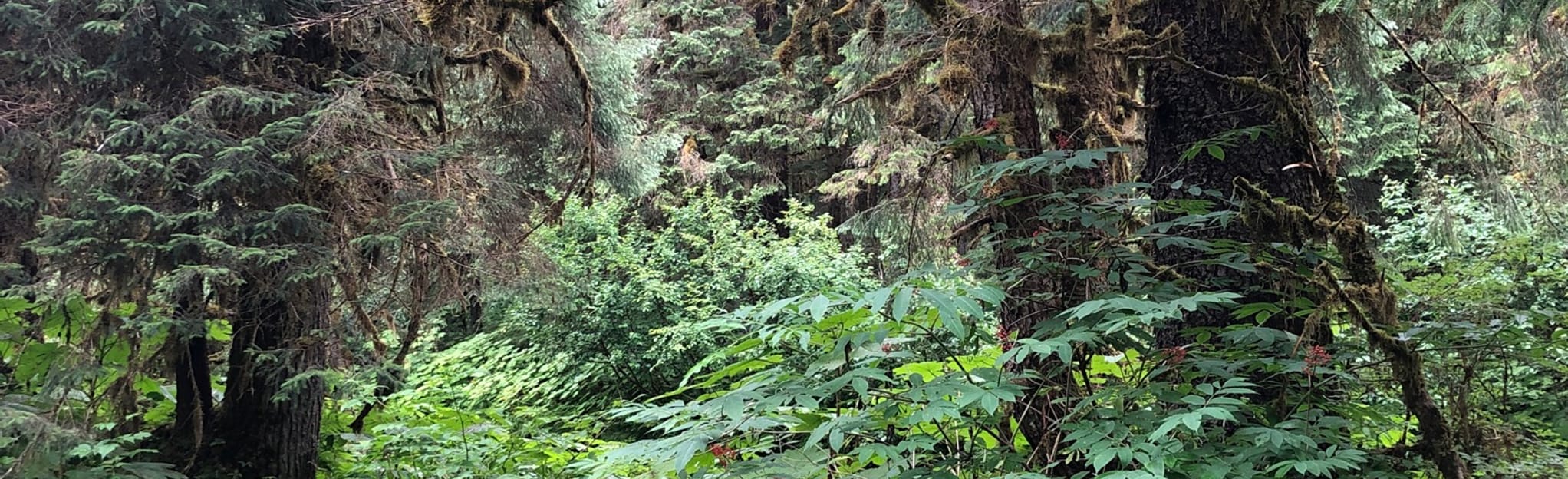 Montana Creek 22 Reviews, Map Alaska AllTrails