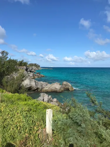 Bermuda plage online