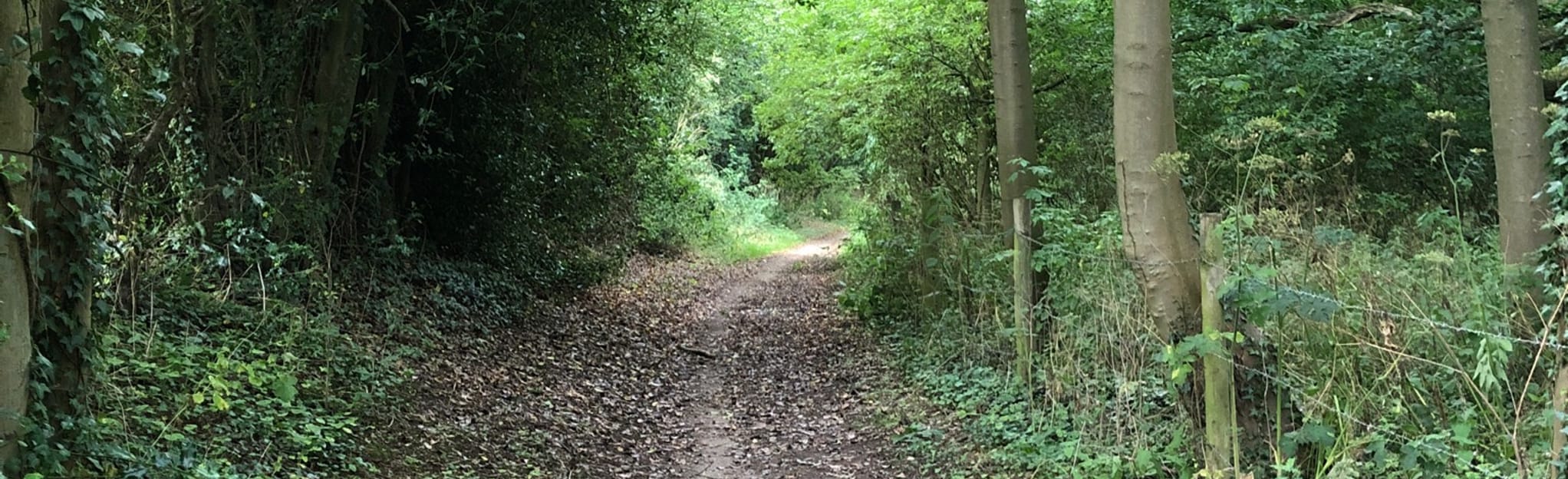 Welton and Long Plantation Circular Map, Guide East Riding of Yorkshire, England AllTrails