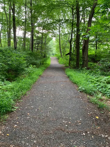 Best Hikes and Trails in Sessions Woods Wildlife Management Area ...