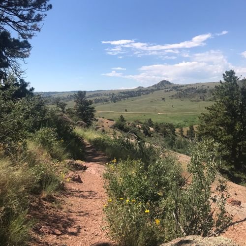 2023 Best Moderate Trails in Curt Gowdy State Park | AllTrails