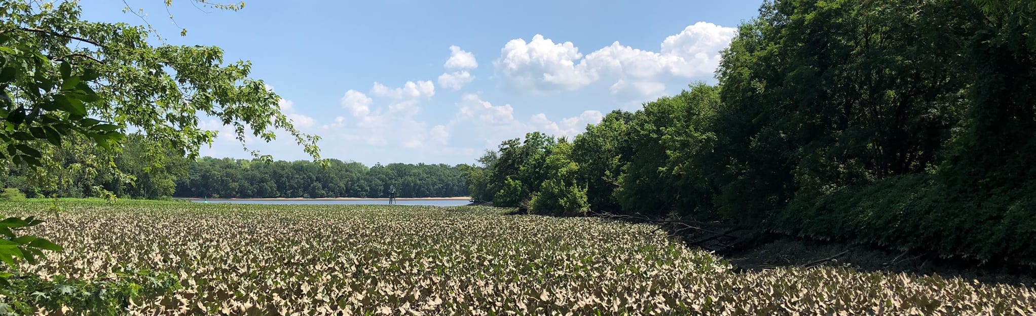 Bristol Spurline Trail, Pennsylvania 46 Reviews, Map AllTrails