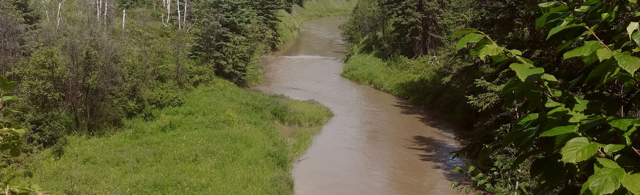 motorboat on whitemud creek