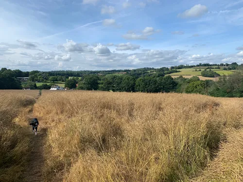 10 Best Hikes and Trails in High Weald National Landscape (AONB ...