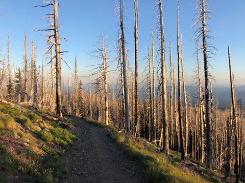 Photos of Mount Adams South Climb Trail - Washington