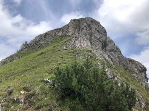 Notkarspitz über Gießenbach