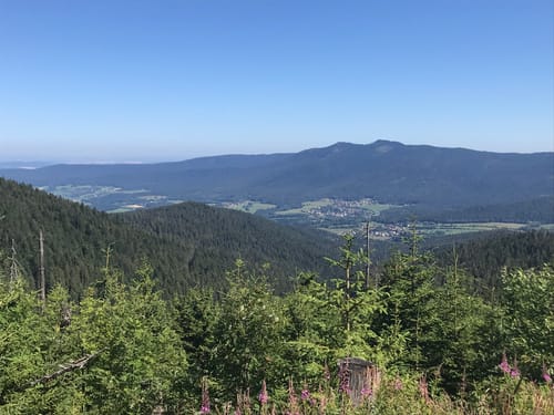 Haibühl, Eck, Kleiner Arbersee, und Sommerau