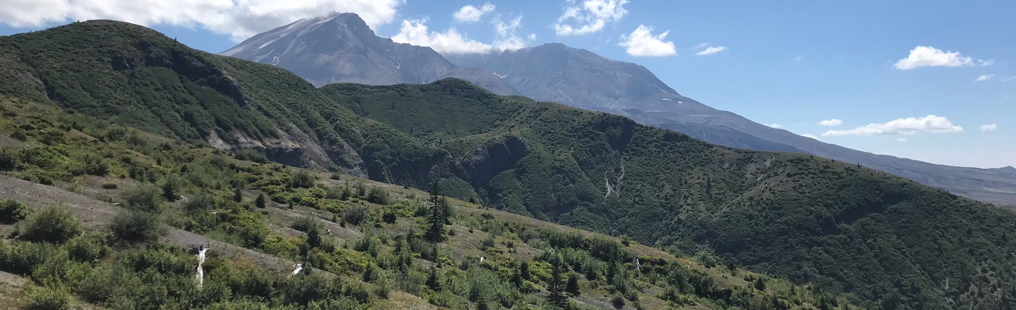 Windy Ridge Trail: 266 fotos - Washington | AllTrails