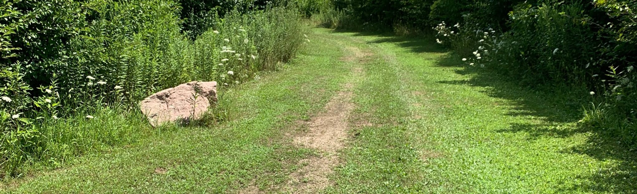 Kingswood Park Loop, Ohio 127 Reviews, Map AllTrails