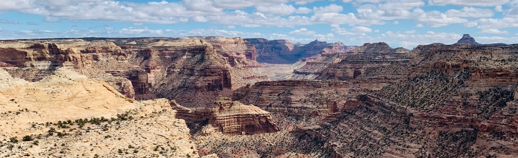 Little Grand Canyon Rim Trail (Wedge Overlook), Utah 58 Reviews, Map AllTrails