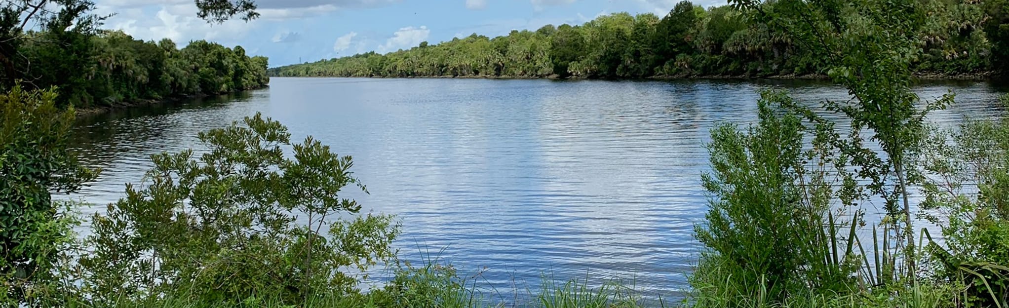 Inglis Island - Florida  AllTrails