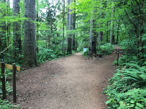 2023 Best Waterfall Trails in Olympia | AllTrails