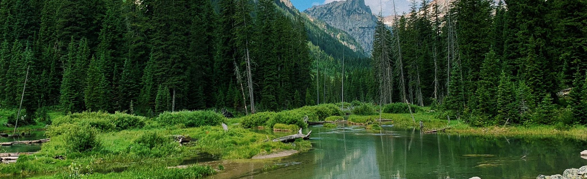 Icefloe Lake: 10.711 Foto's - Wyoming 