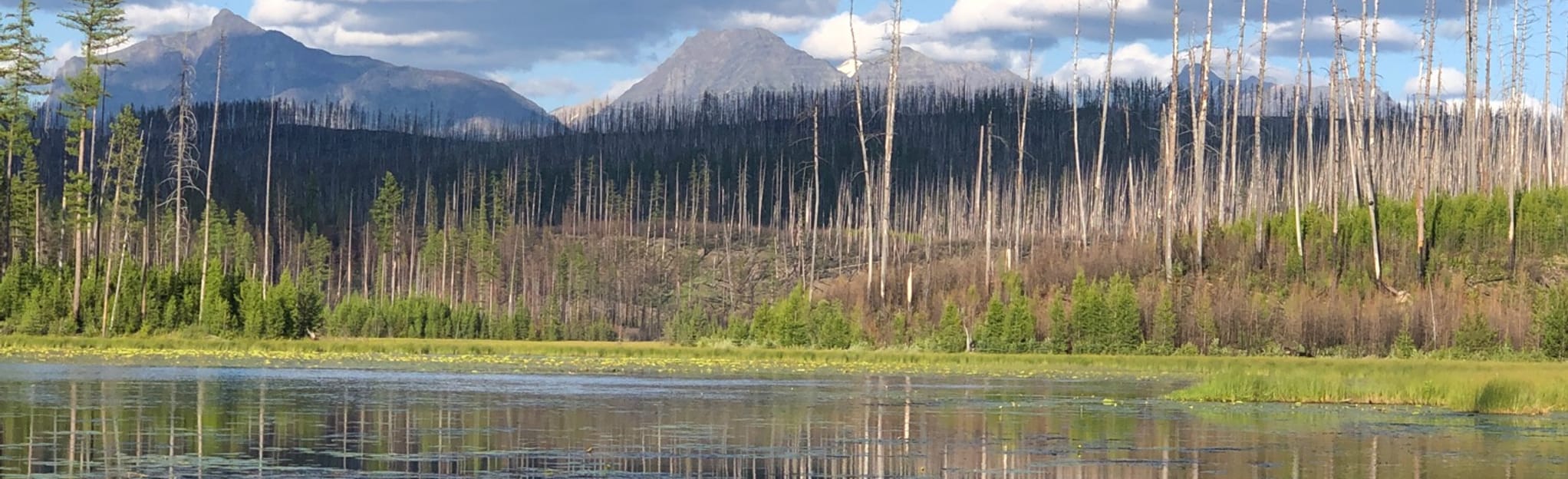 Howe Lake, Montana 144 Reviews, Map AllTrails