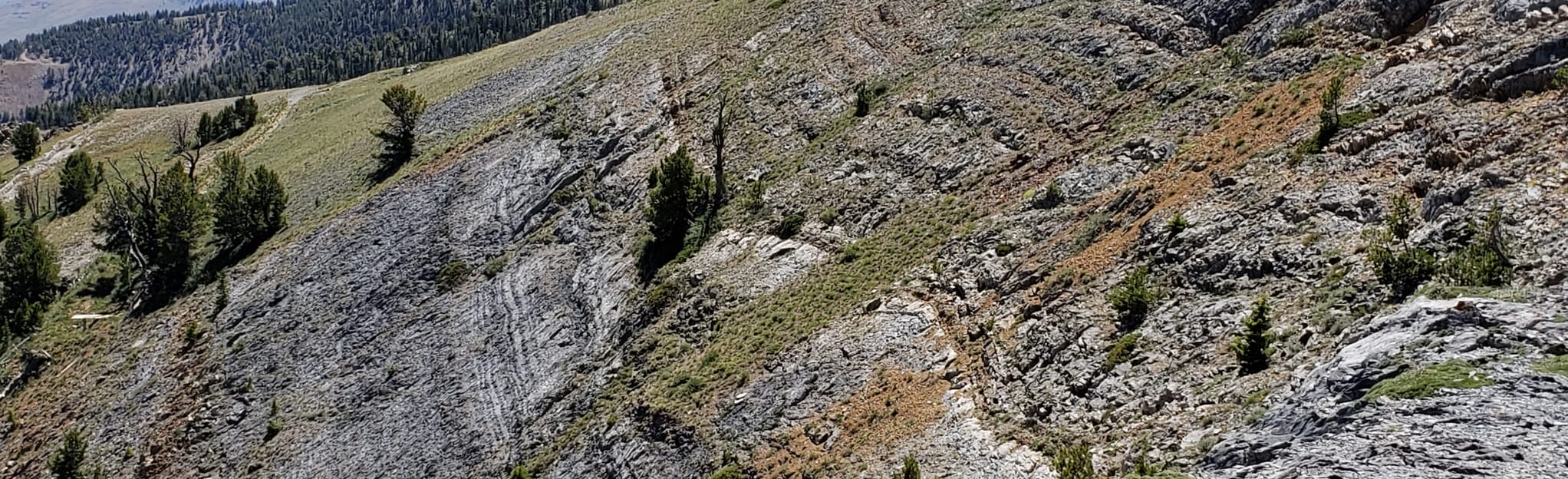 Mine Hill Road and Cliff Creek Loop 7 Reviews, Map Idaho AllTrails