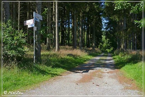 Ringelstein und Almetal