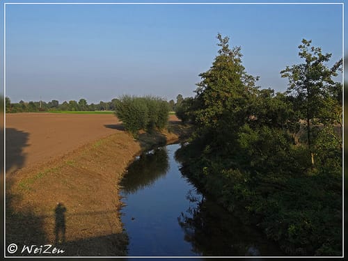 Wabe 215 Drensteinfurt