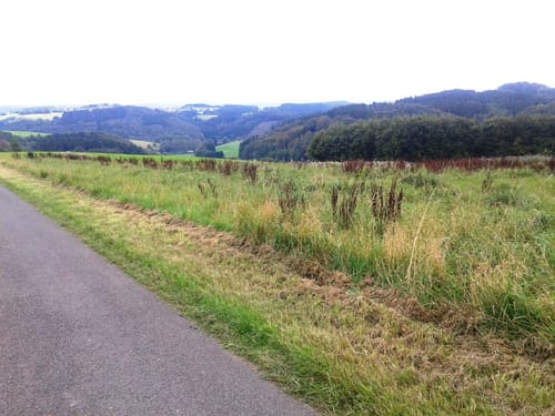 Kohlberg - Hagdorn