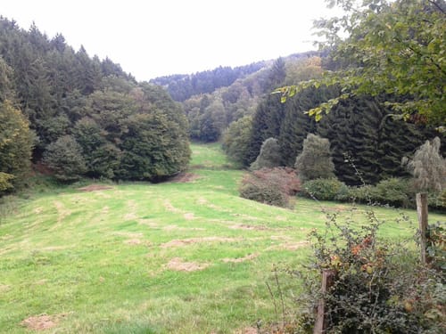 Kohlberg - Hagdorn