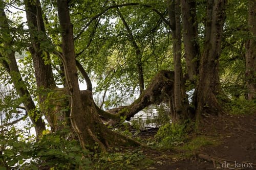 Von Carwitz um den Dreetzsee