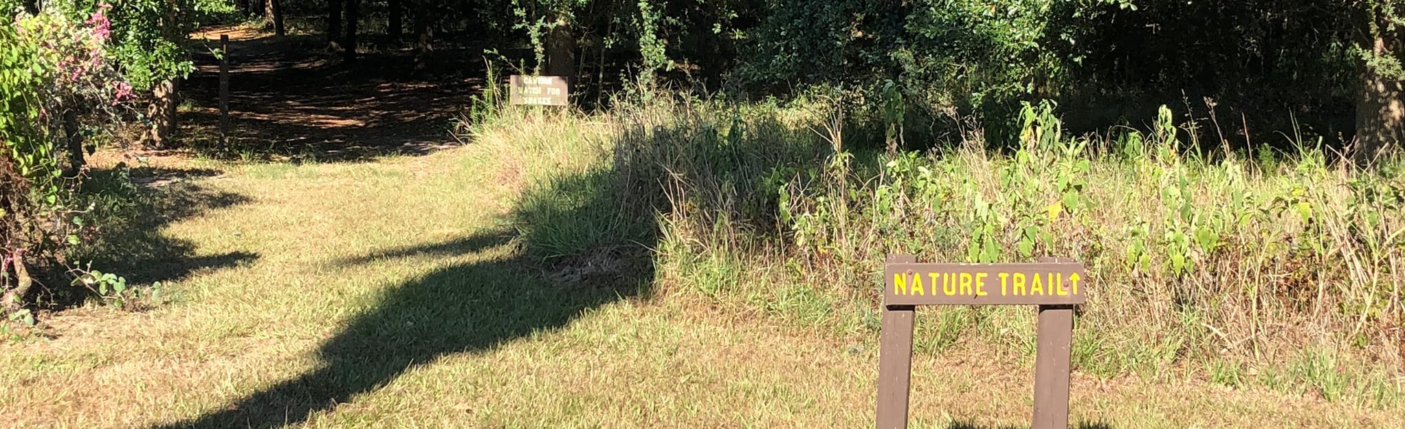 Coleto Creek Park Trail, Texas - 7 Reviews, Map | AllTrails