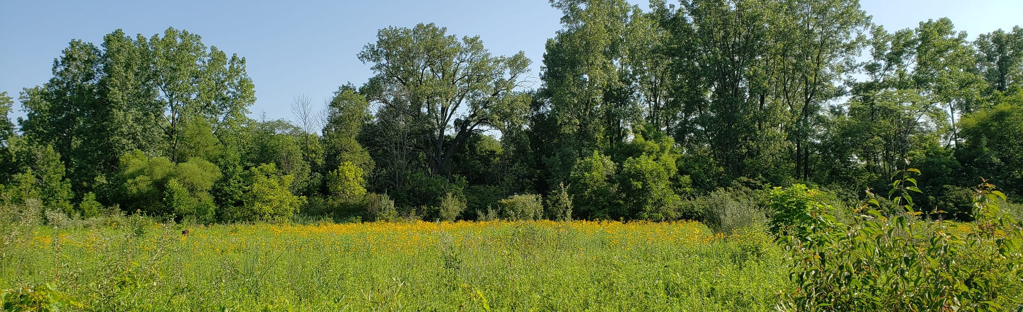 Stillwater Prairie Loop, Ohio 152 Reviews, Map AllTrails