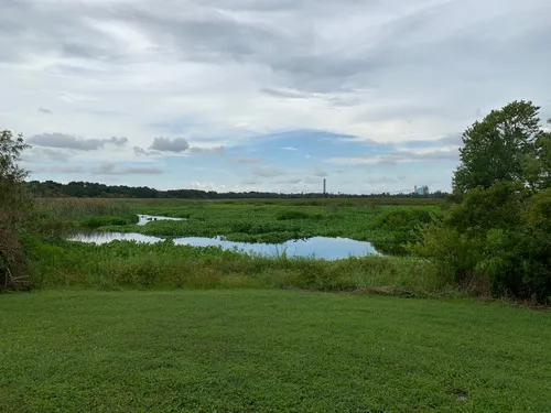 10 Best Trails and Hikes in Lakeland | AllTrails