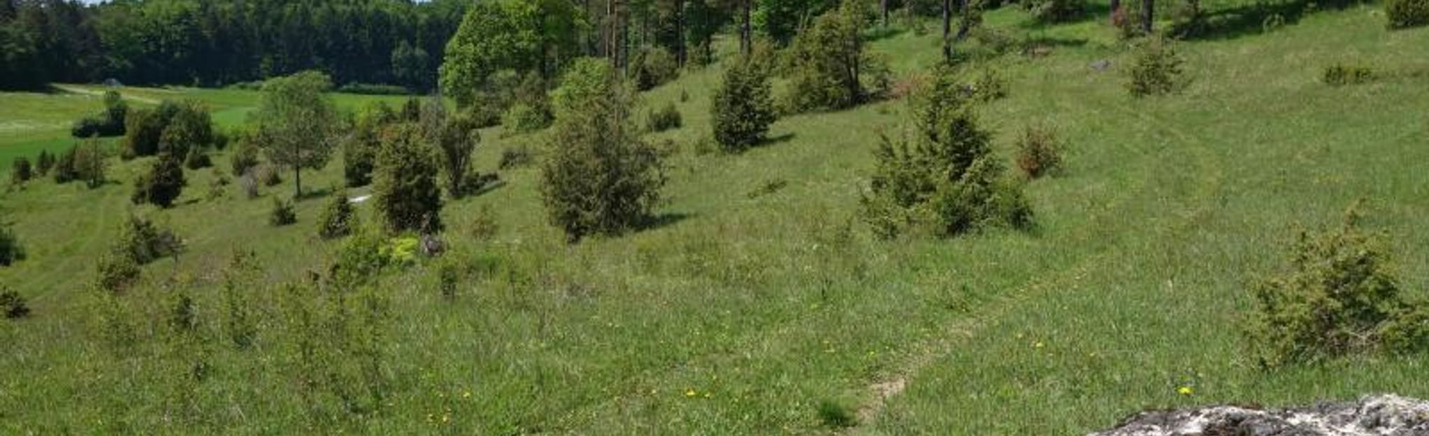 Rundweg Haselbrunn 2 Fotos Bayern, Deutschland AllTrails